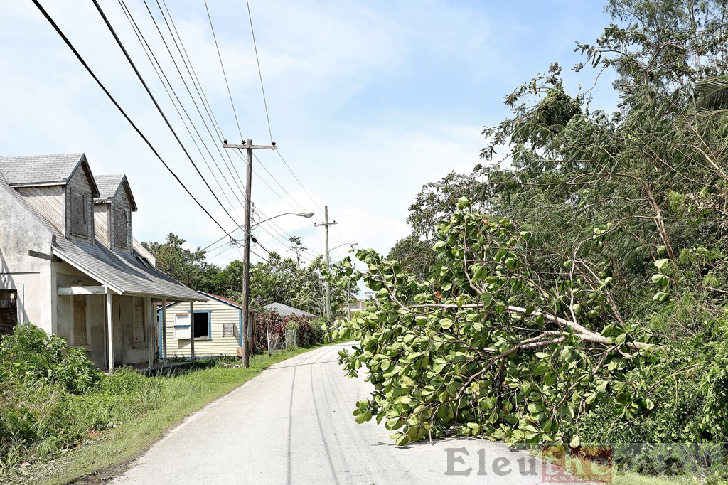 Tree fallen across the road in The Bluff.