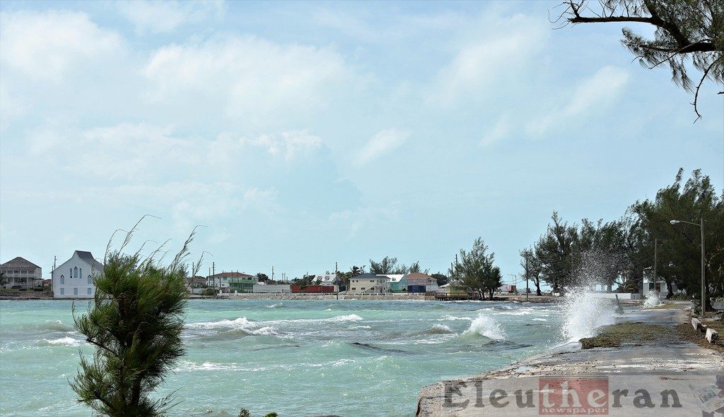 Seaweed washed up on the foreshore in Governor's Harbour