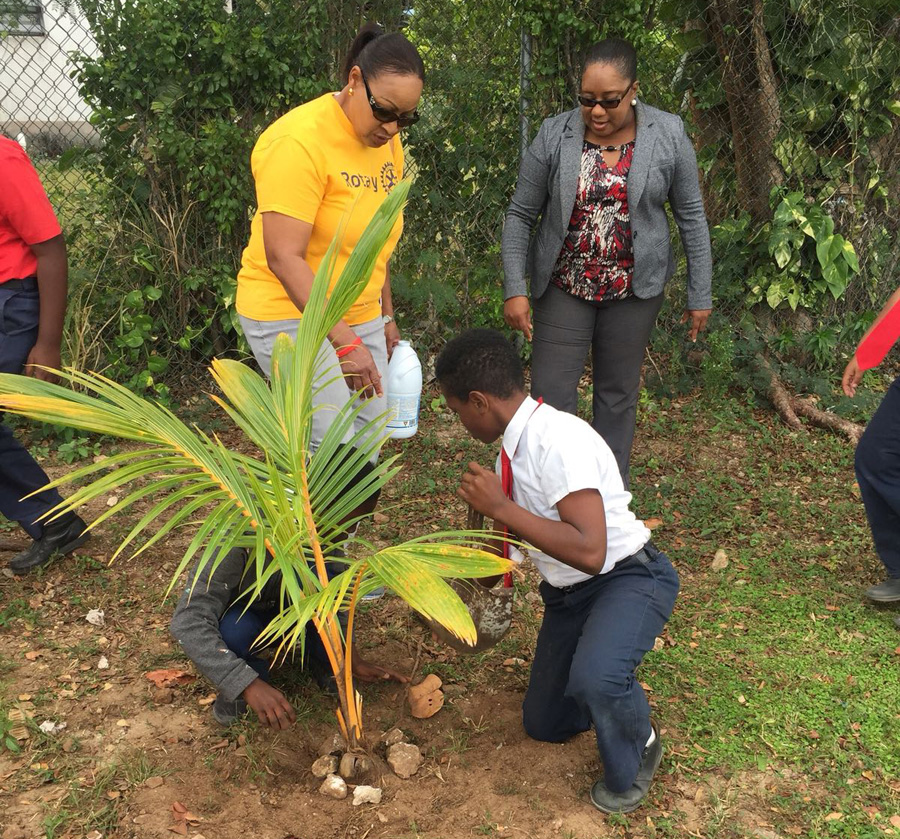 Treeplanting1