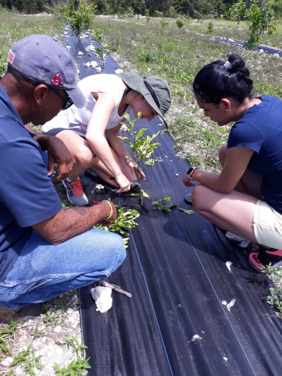 Visiting Rotaractors volunteer at CTI's farm.