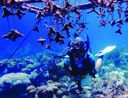 CEI Researcher Lily Haines dives among home-made substrates that baby corals will soon settle on. 