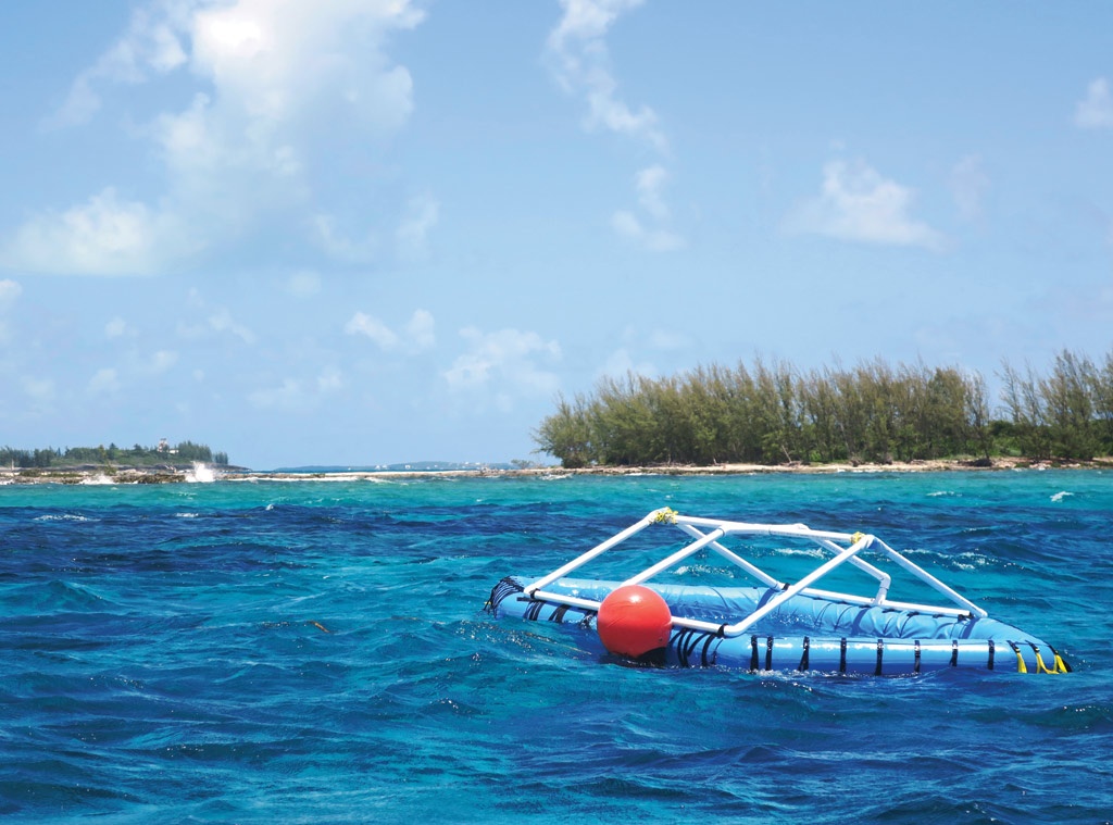 Baby corals are released into this pool, where they can find and settle on home-made substrates in a safe and contained environment. 