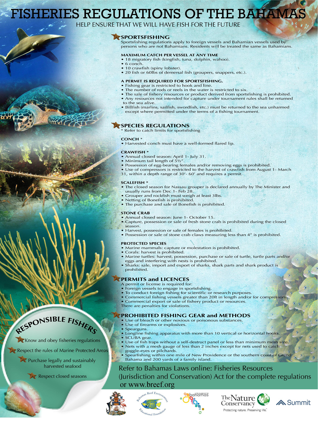 Bahamas Fishing Regulations, Bag Limits, Exporting Seafood