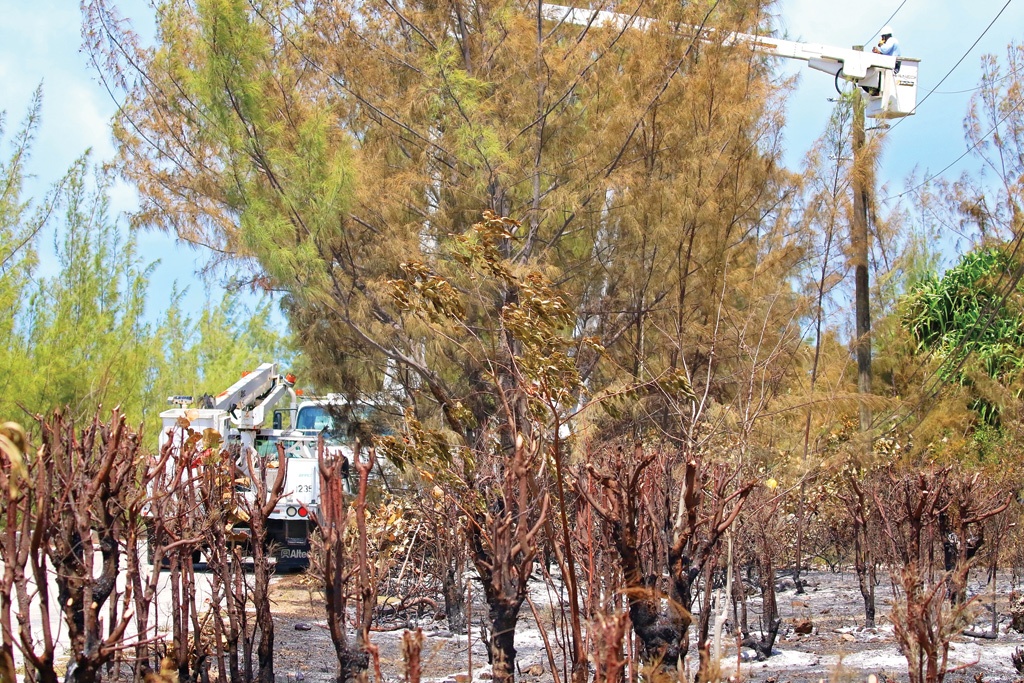 Electricity supply in the Central Eleuthera area was disrupted for several hours on May 12th, as Utility workers made repairs to damaged infrastructure.