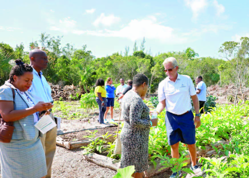 Eleuthera Business Outlook attendees tour a farming initiative located next to The Marketplace, by the Eleutheros AG Group.
