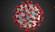 Covid virus image